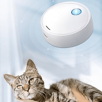 purificador de aire para eliminar olor a caja de arena de gato