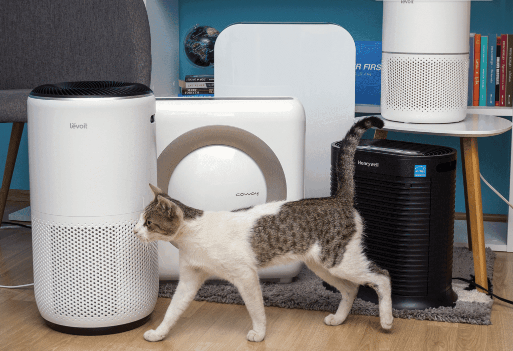 purificador de aire para eliminar olor a caja de arena de gato