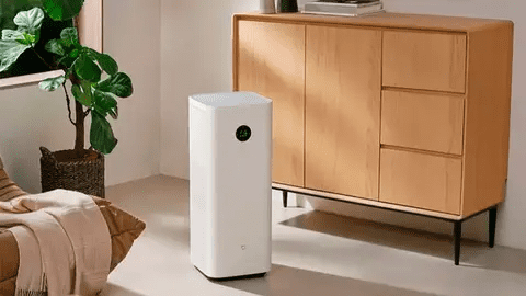 purificador de aire para eliminar olor a caja de arena de gato