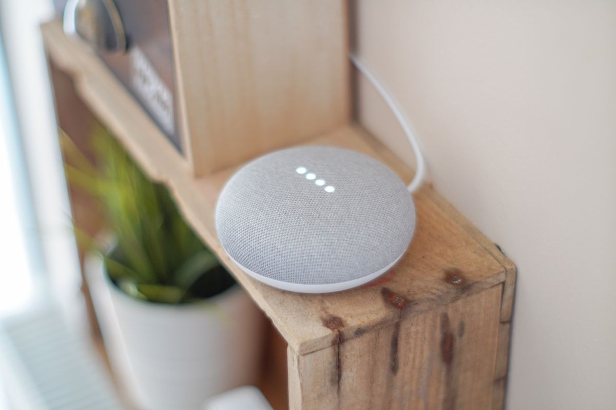 Altavoz inteligente Google Home Mini gris sobre una balda de madera junto a una planta