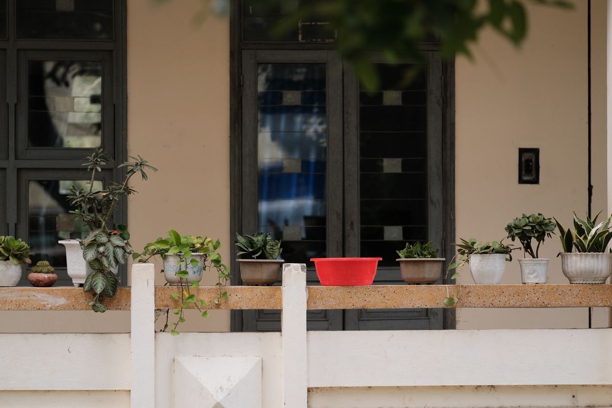 Terraza pequeña con macetas de plantas