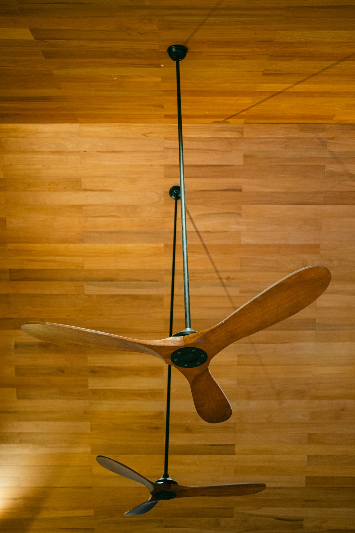 Ventilador de techo moderno con aspas de madera y motor DC visto desde abajo