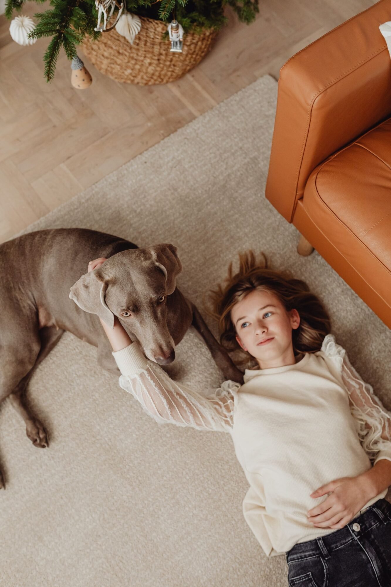 chica y perro marrón tumbados en una alfombra