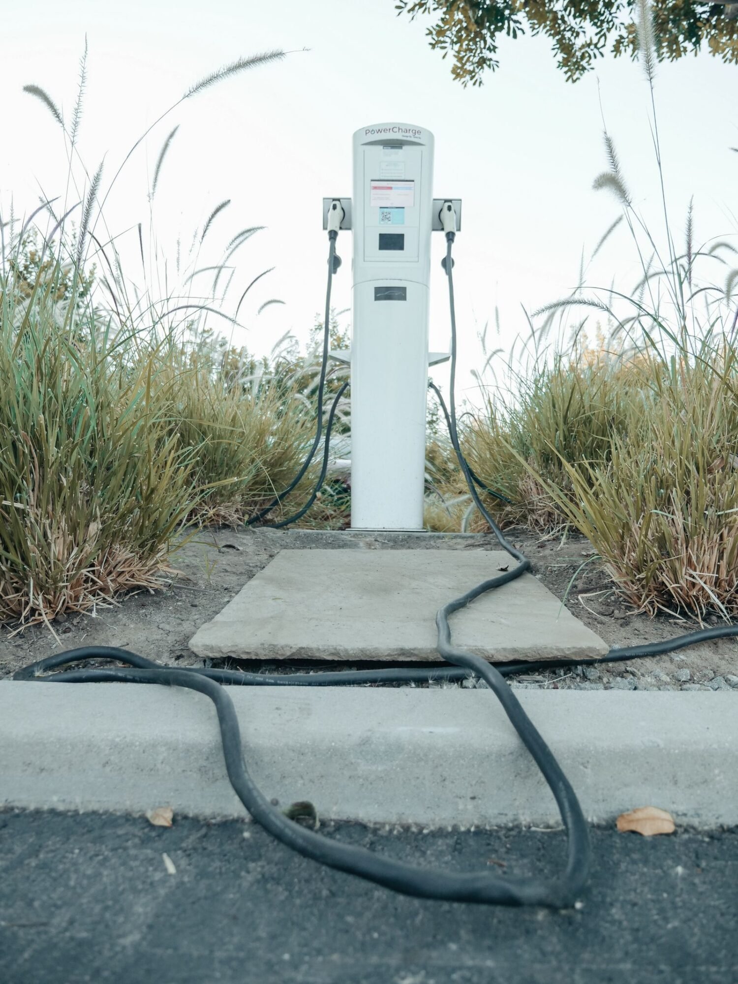 cargador de coche eléctrico 