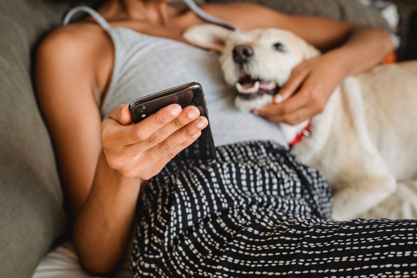 persona usando el móvil junto a su perro