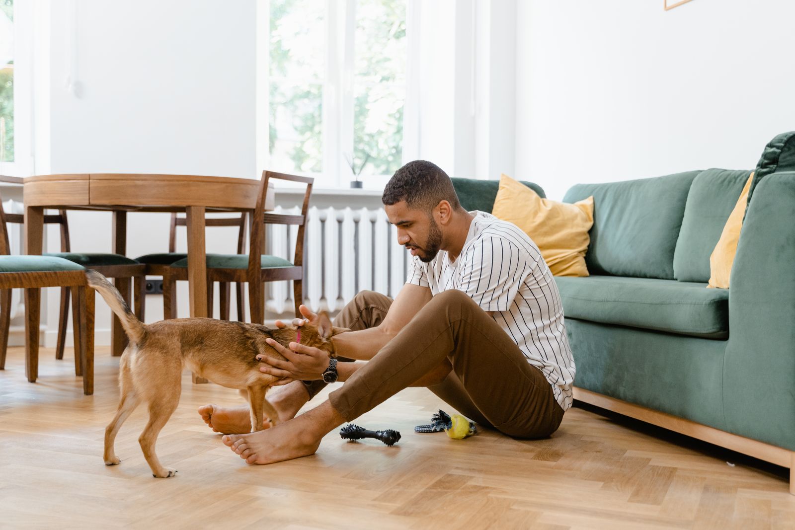 hombre acariciando a su perro en el salón