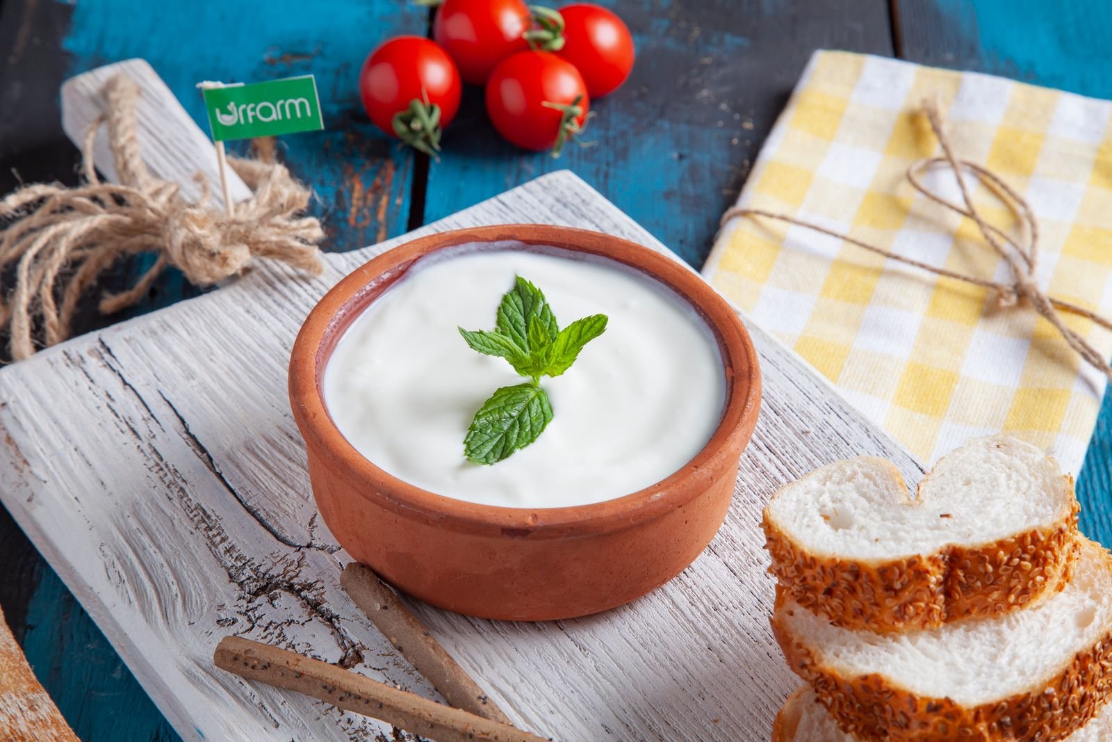 Yogur casero en un cuenco de barro