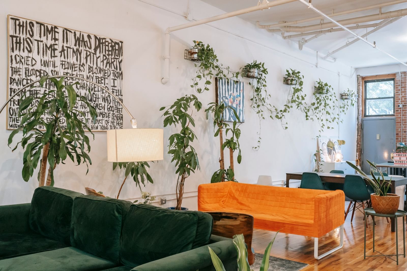 Salón luminoso con plantas y luz natural