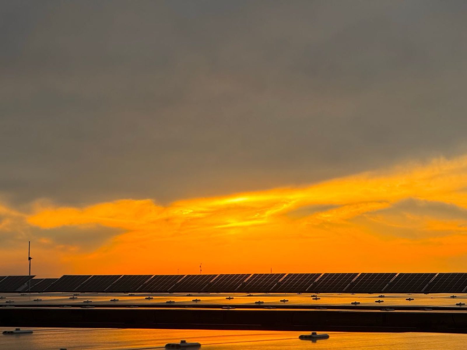 Placas solares bajo un cielo nublado al atardecer